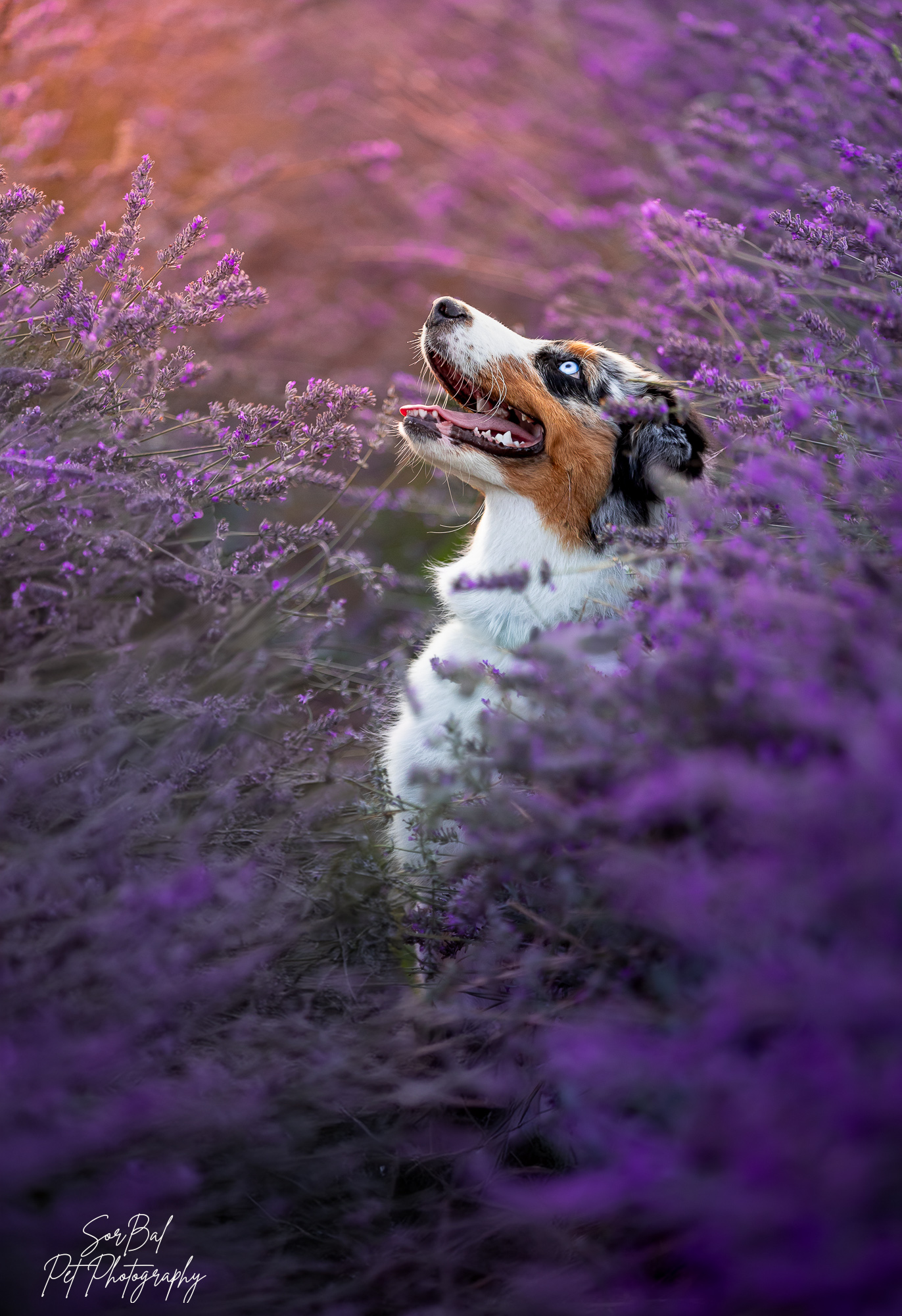 The marvelous Marvel