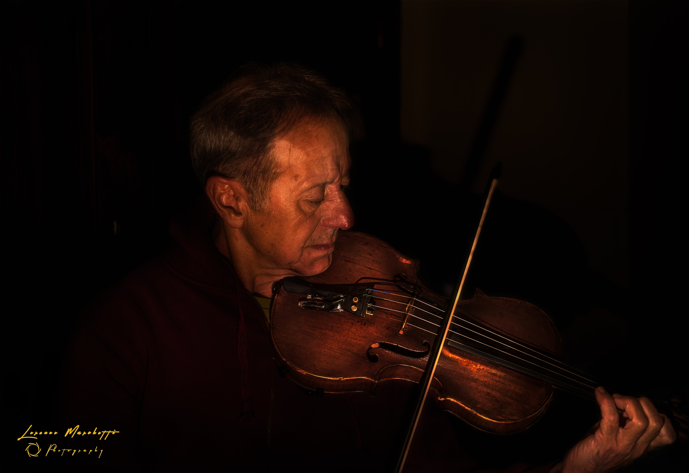 The violinist