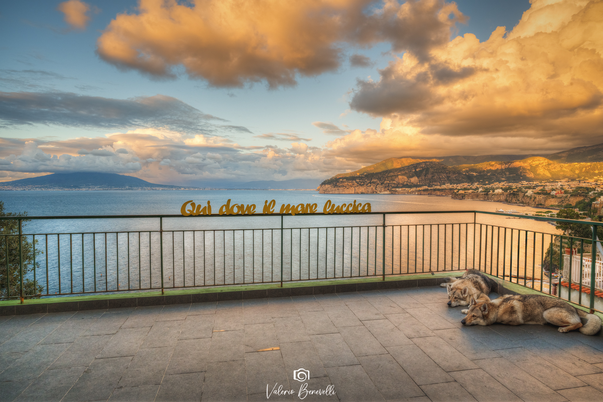 Here where the sea shimmers