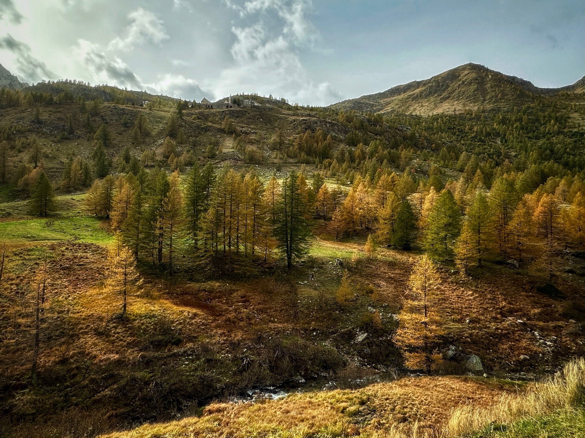 Hints of autumn