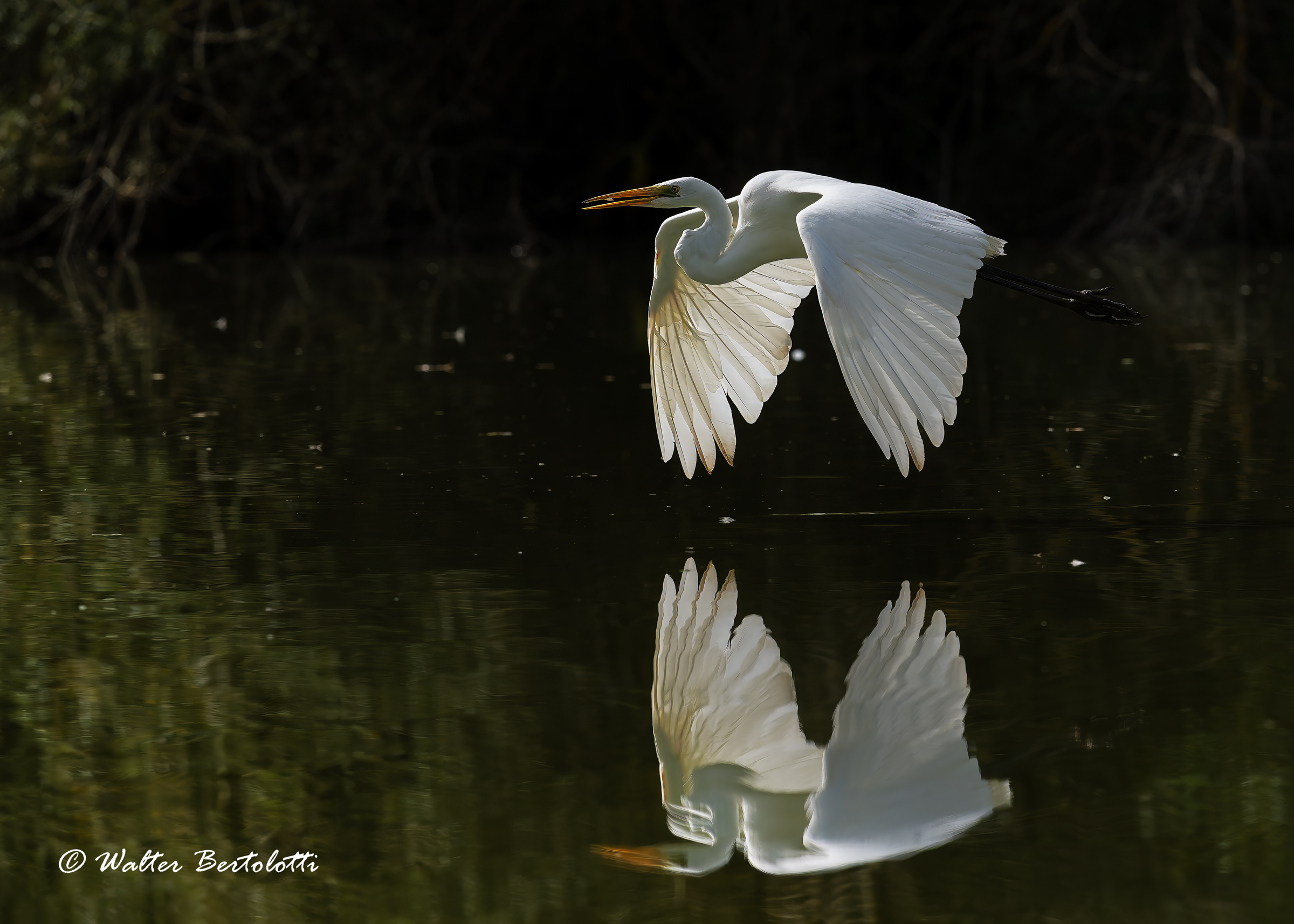 mirror of my desires...