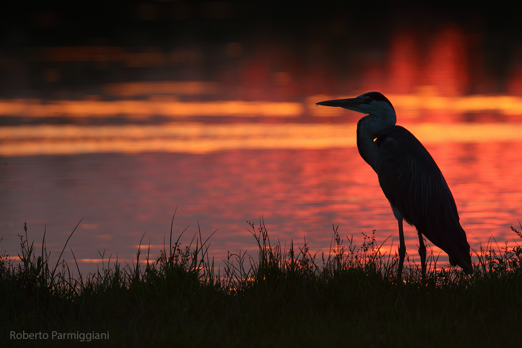 Tramonto con cenerino