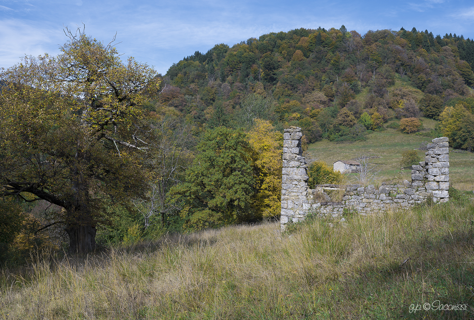 I colori dell'autunno