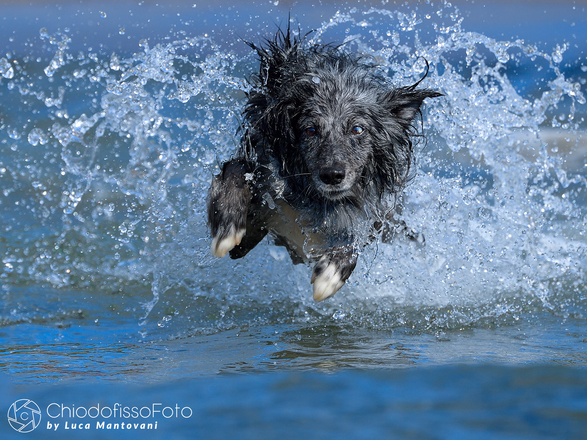 Gin in a dip in the sea