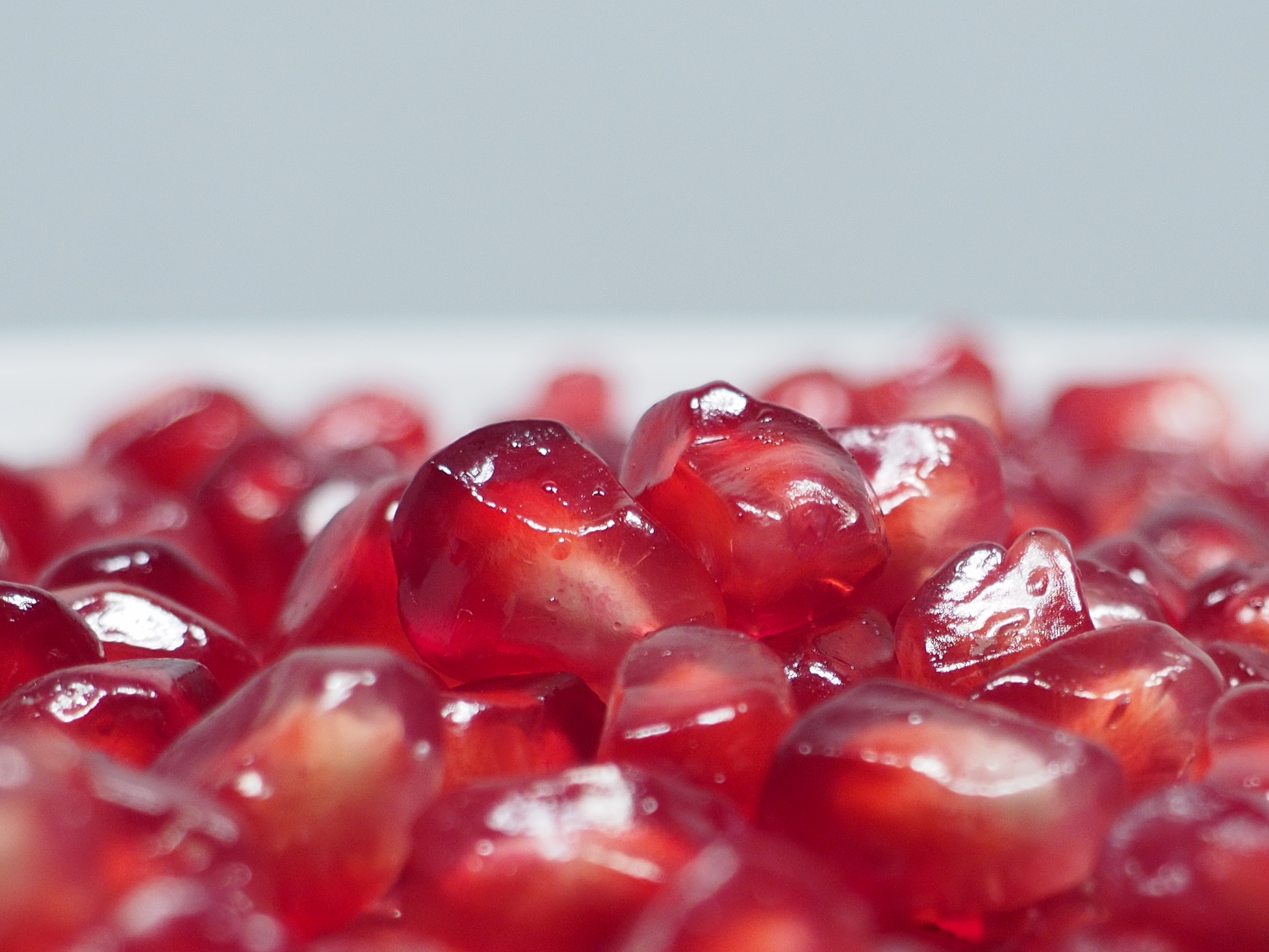 Punica granatum