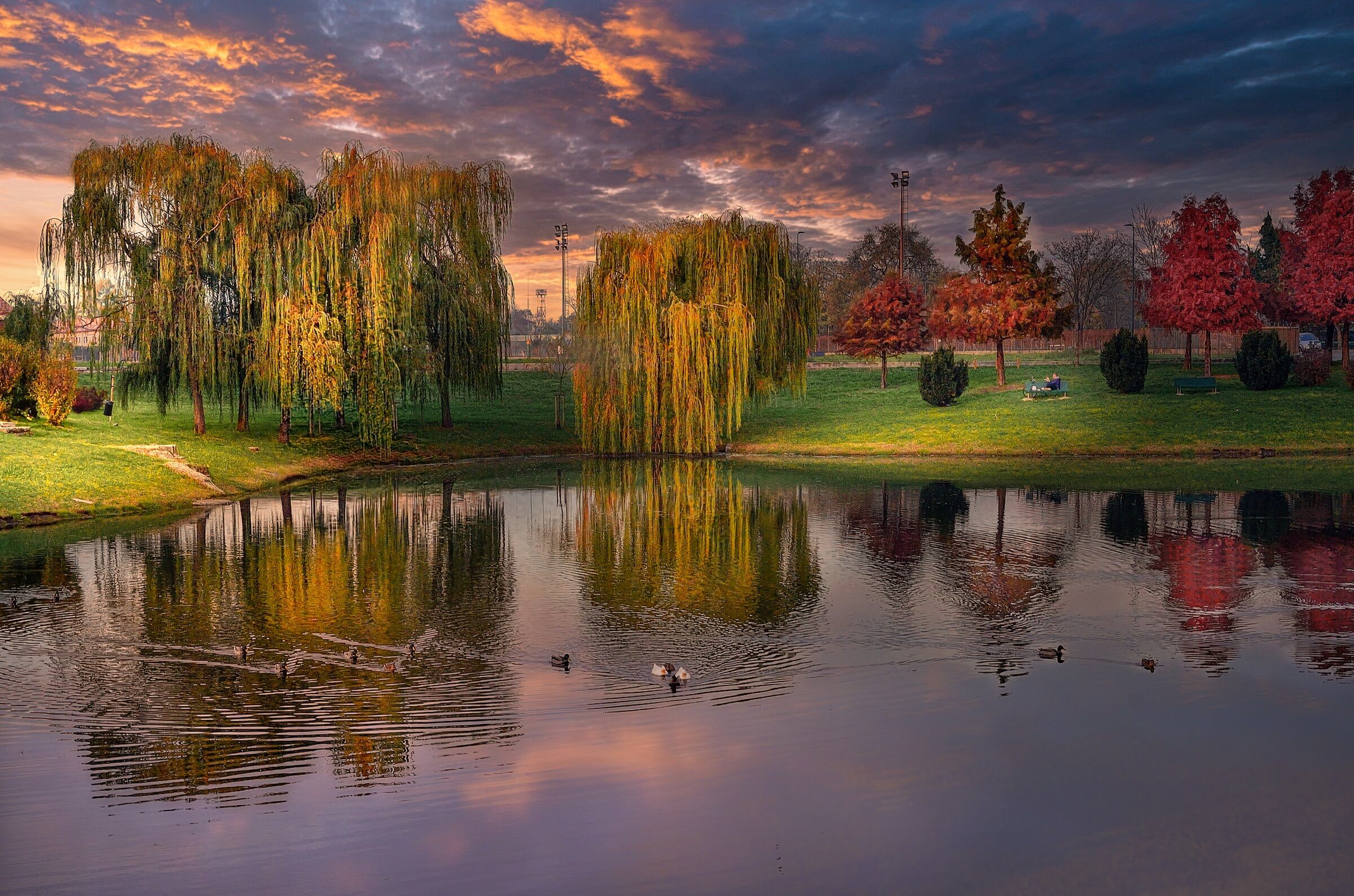 Autumn colors