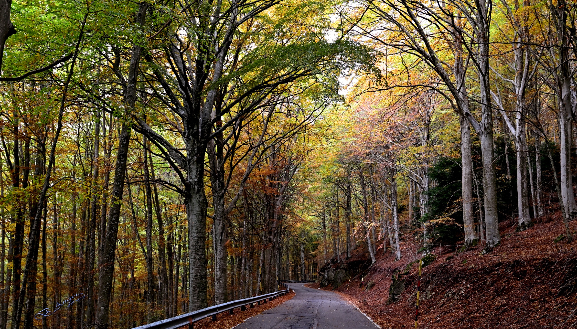 " autumn 24 " ( Monte Amiata )