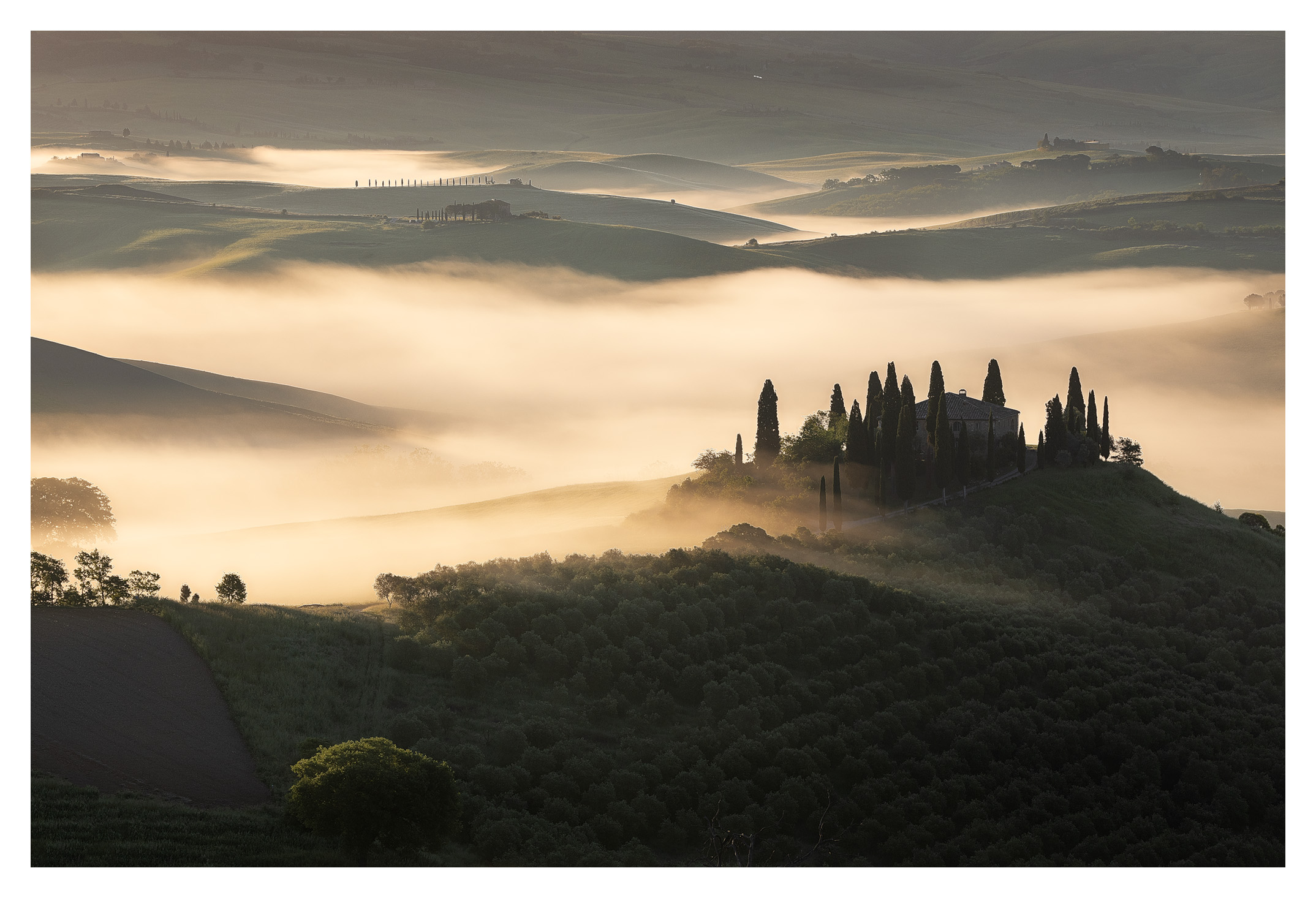 Alba a Poggio Belvedere