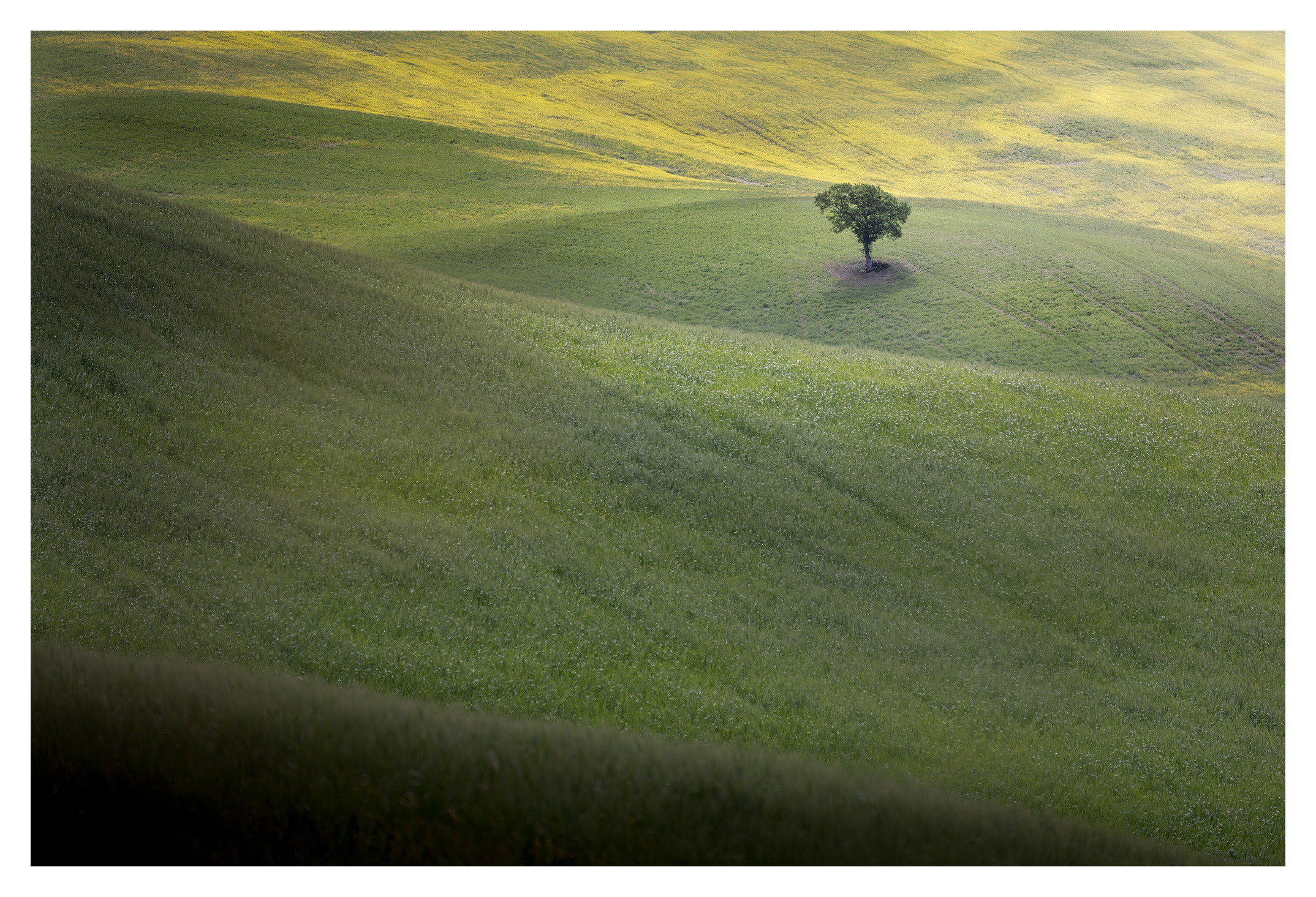 Una delle tante colline toscane