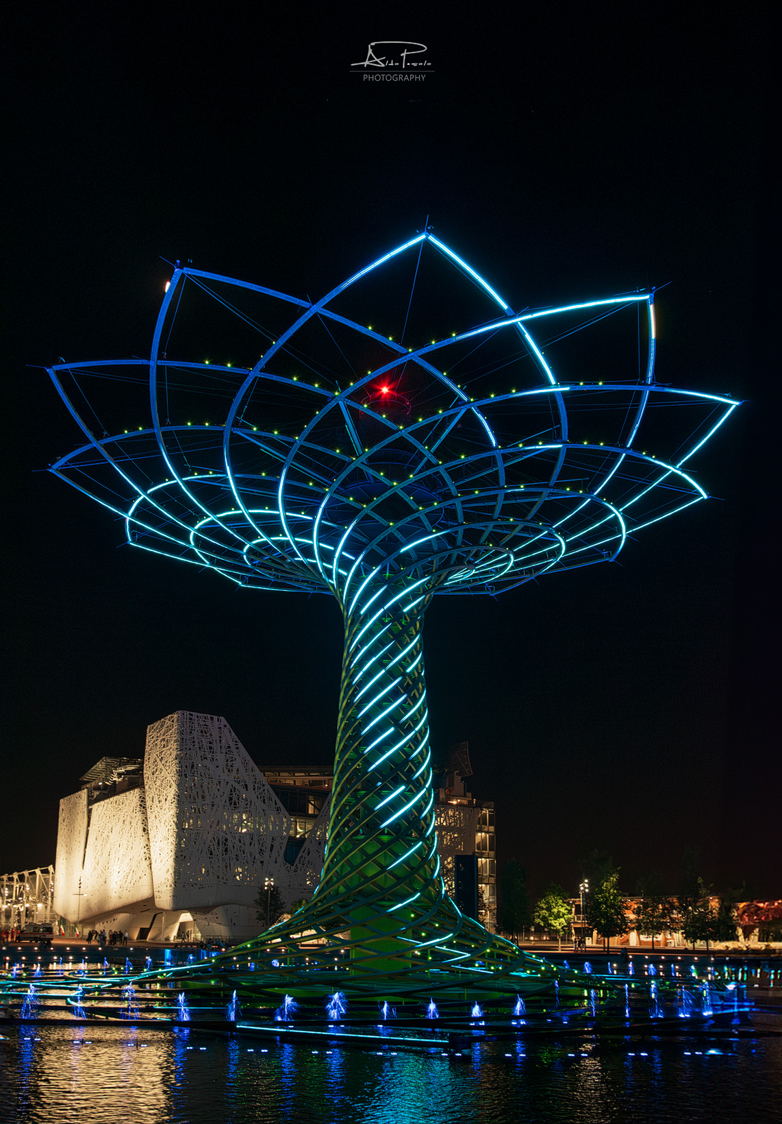 The Tree of Life