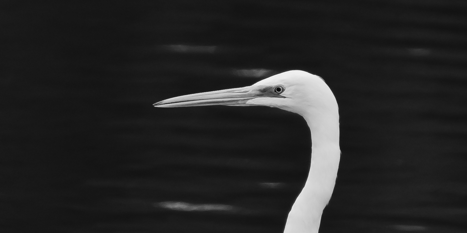 Aerodynamic