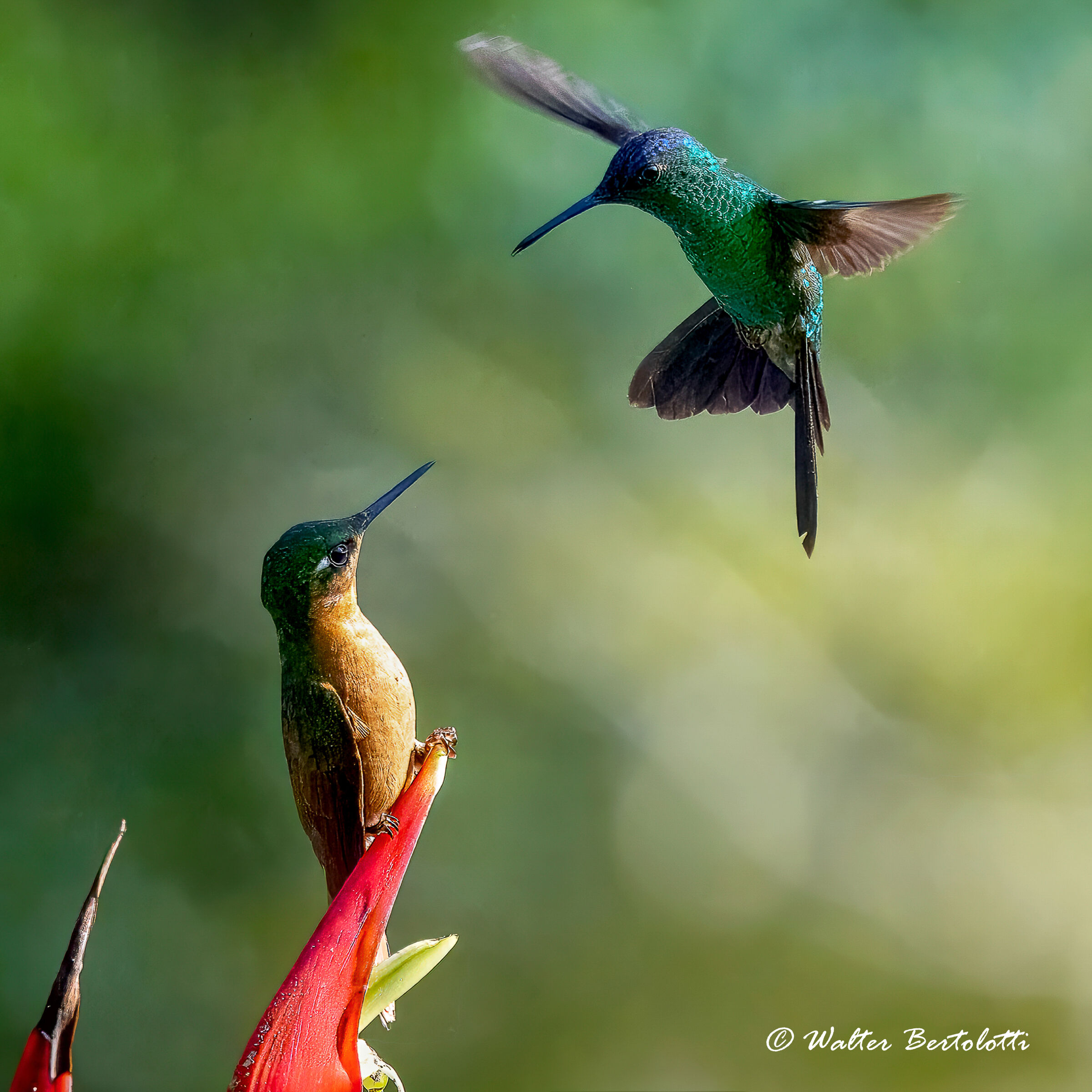 confronti al vertice