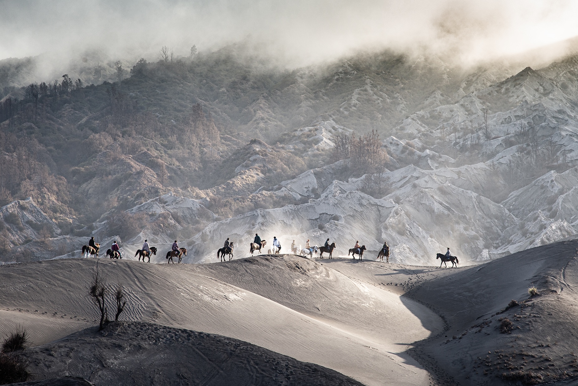 Kings of Bromo