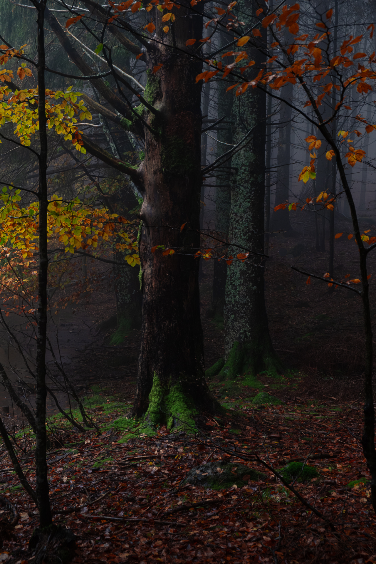 Verses between the leaves