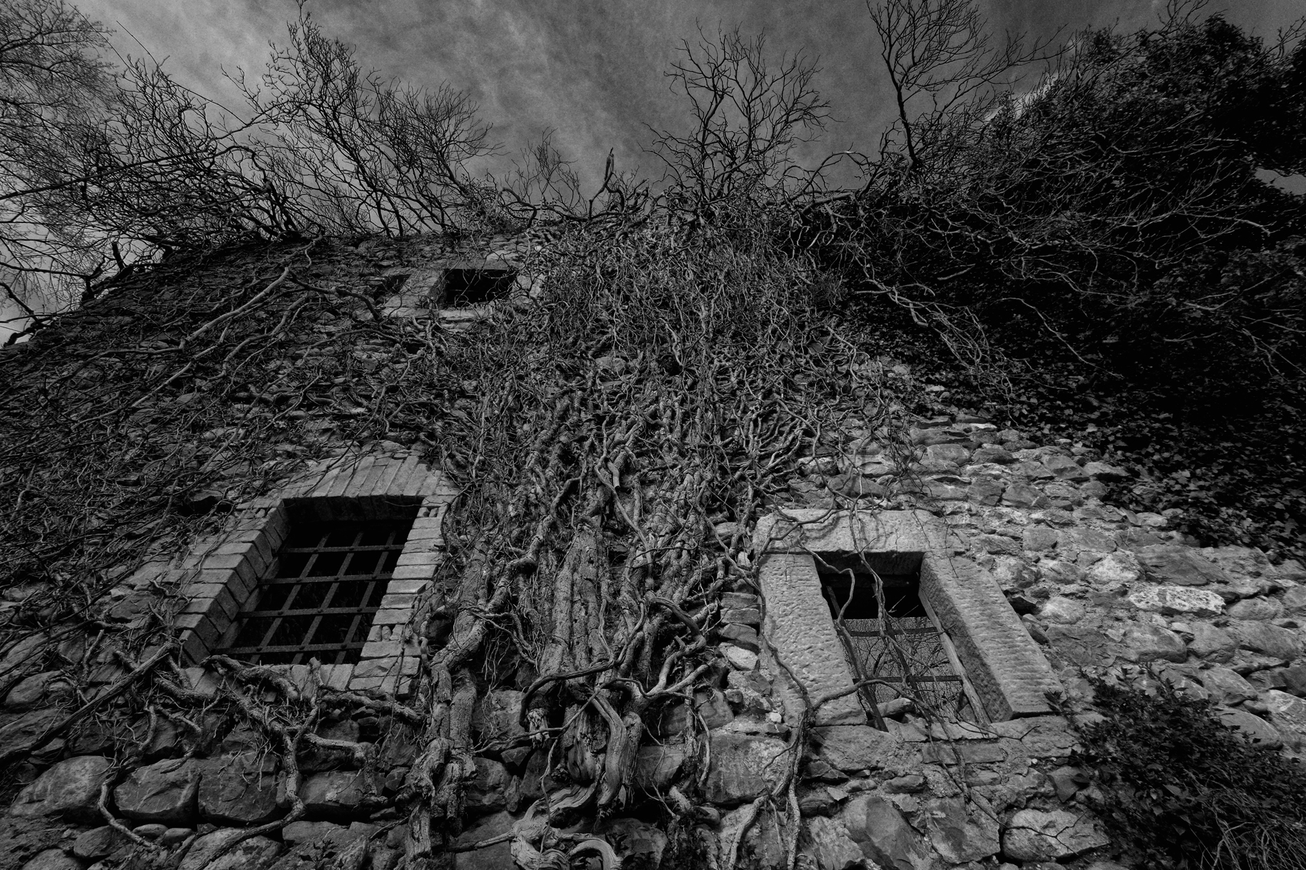 The old mill
