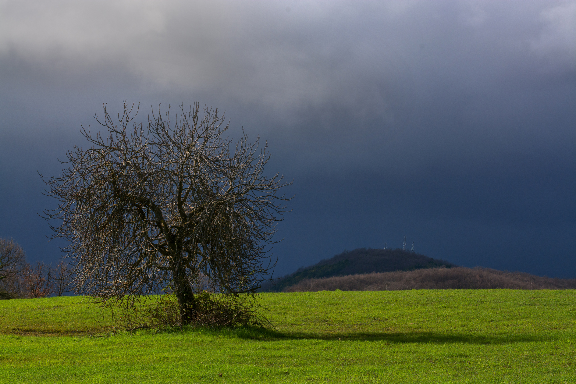 Untitled Photo