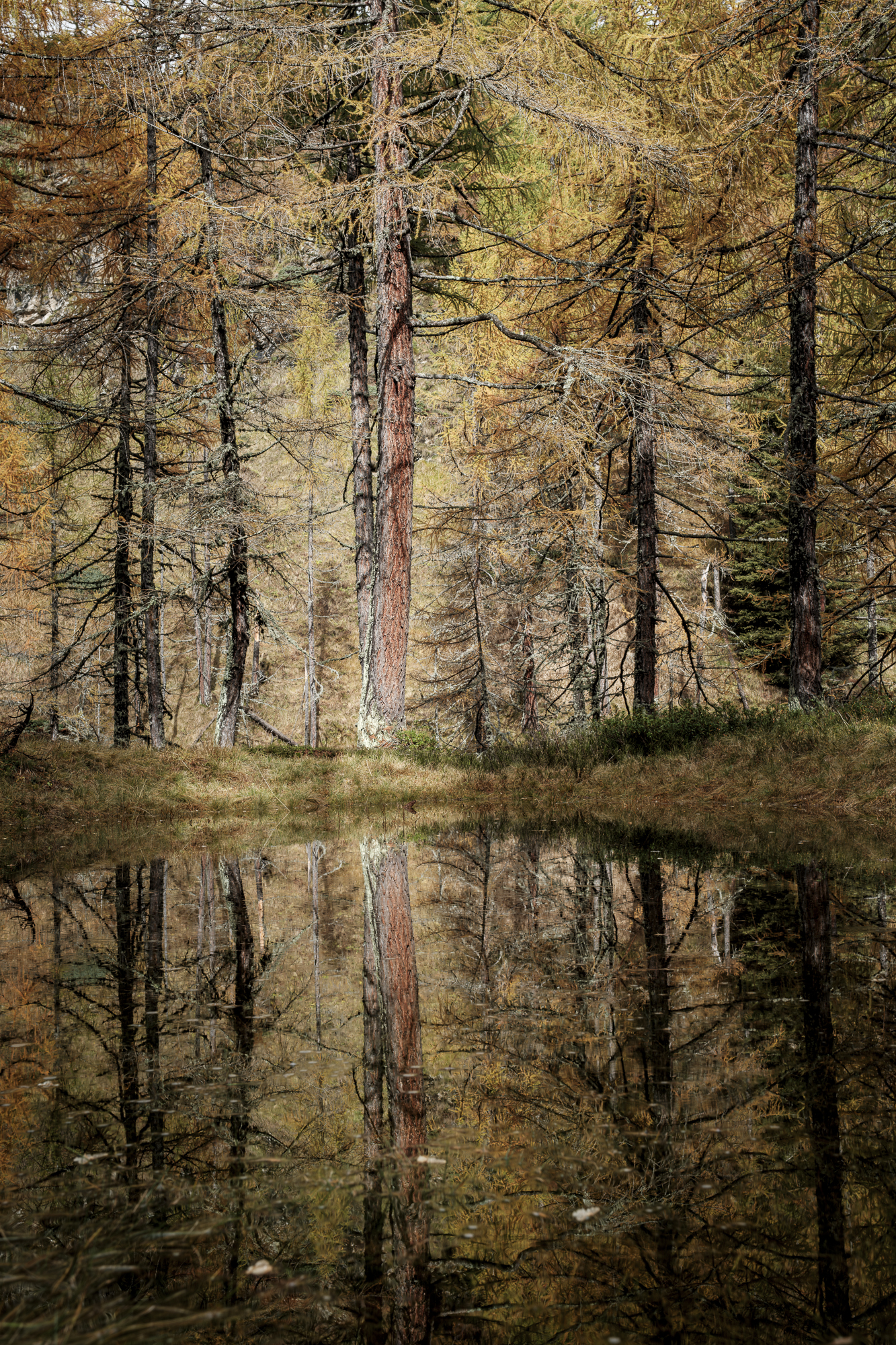 Autumn shades