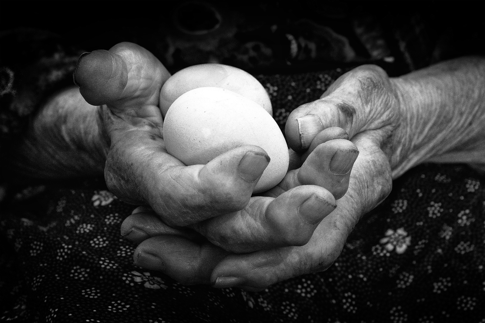 Le mani di una nonna