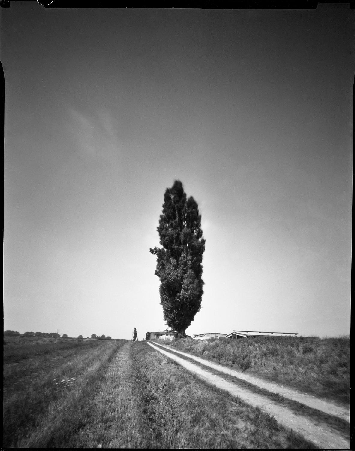 strade bianche ;/)