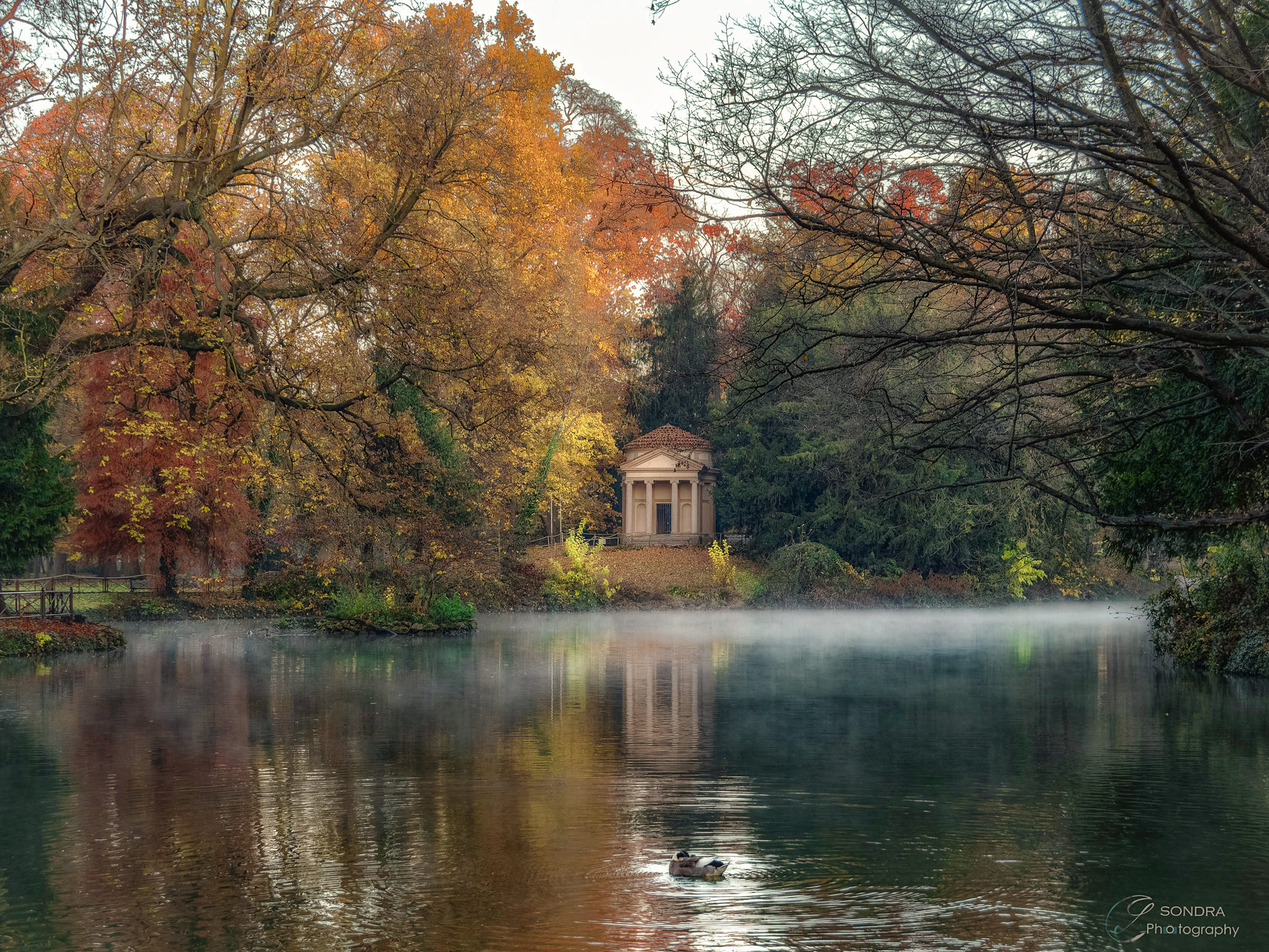 Parco di Monza in autunno