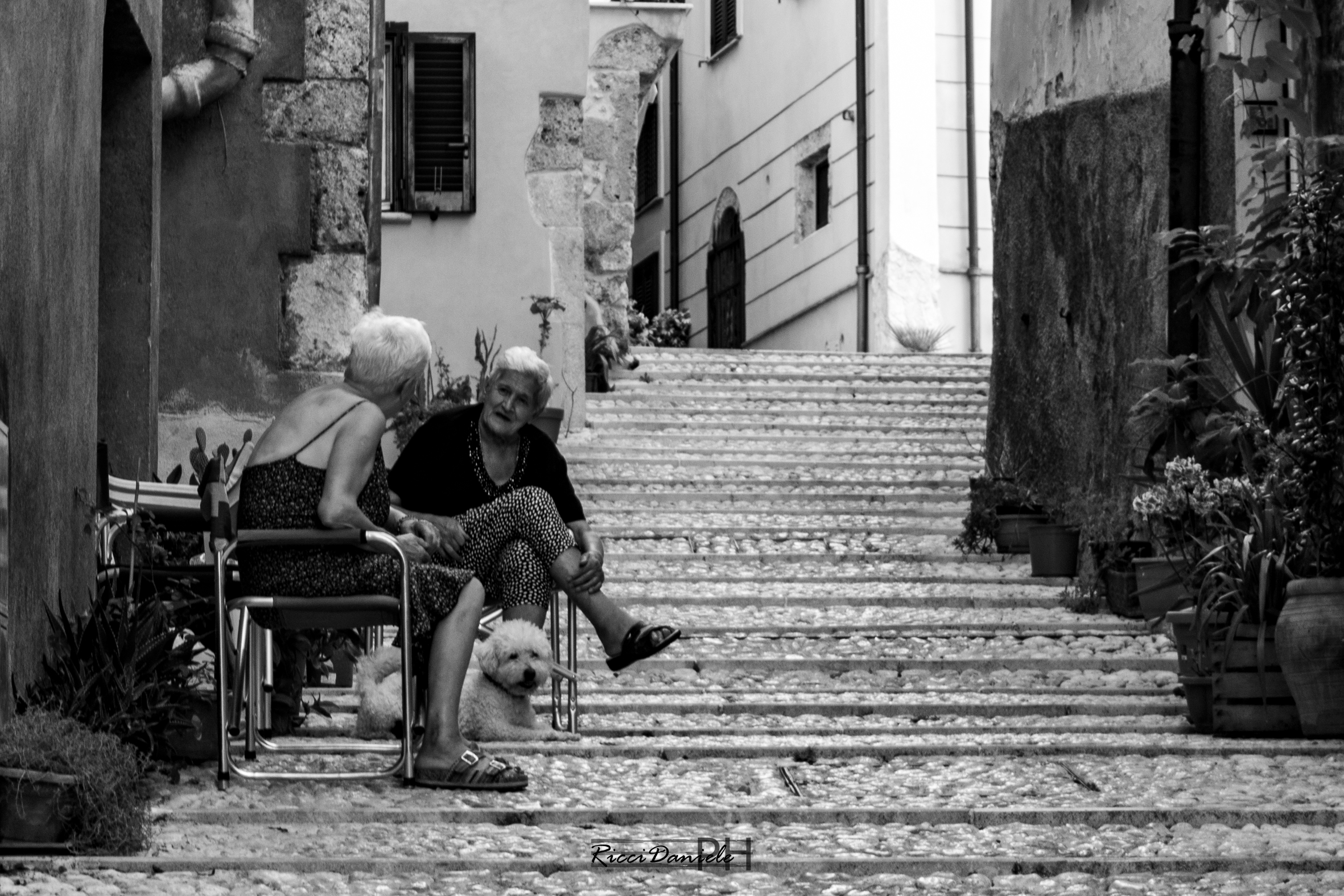 Canceglie