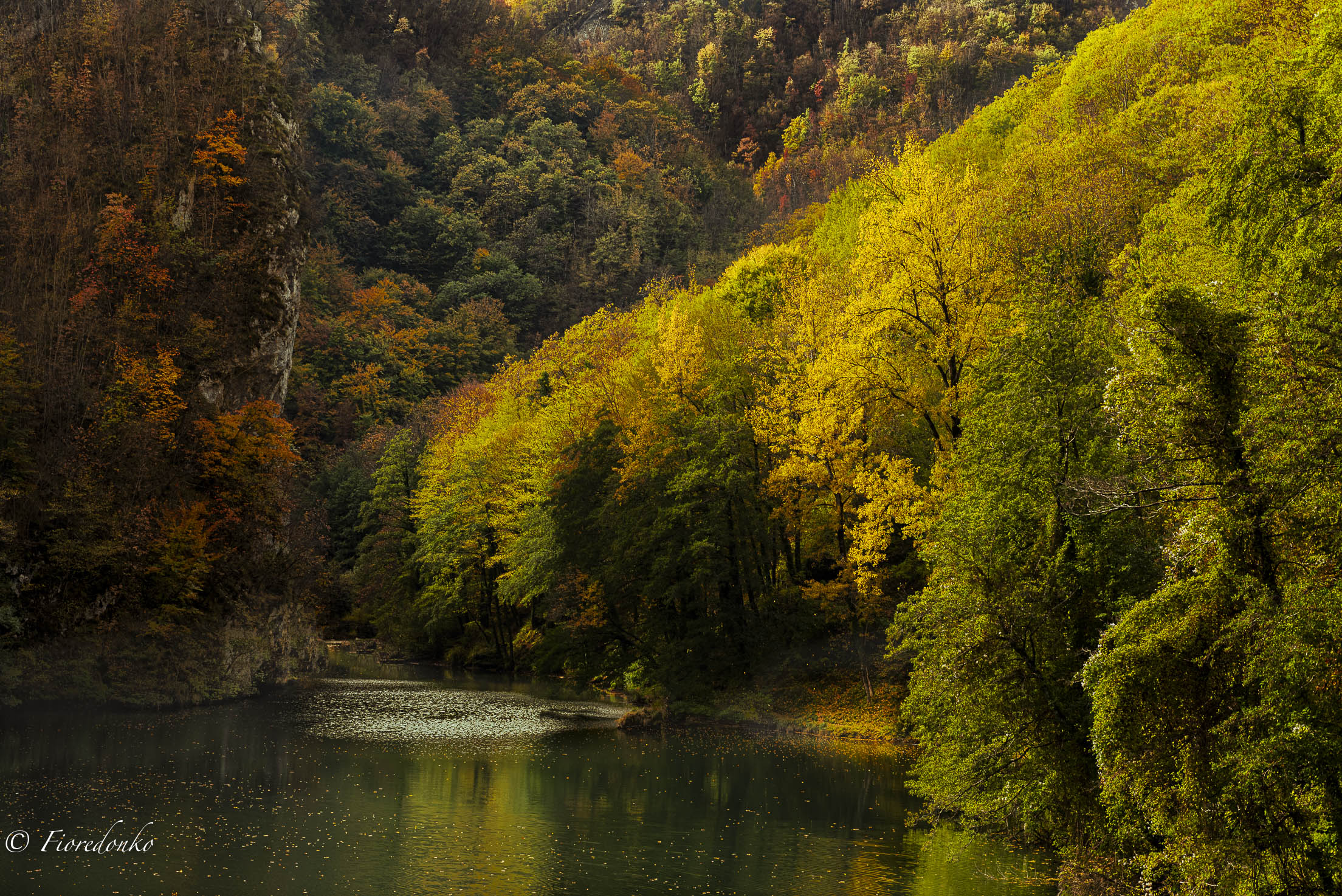 L'autunno con i suoi colori
