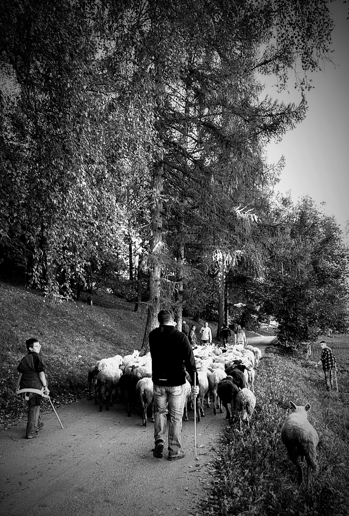 Back home