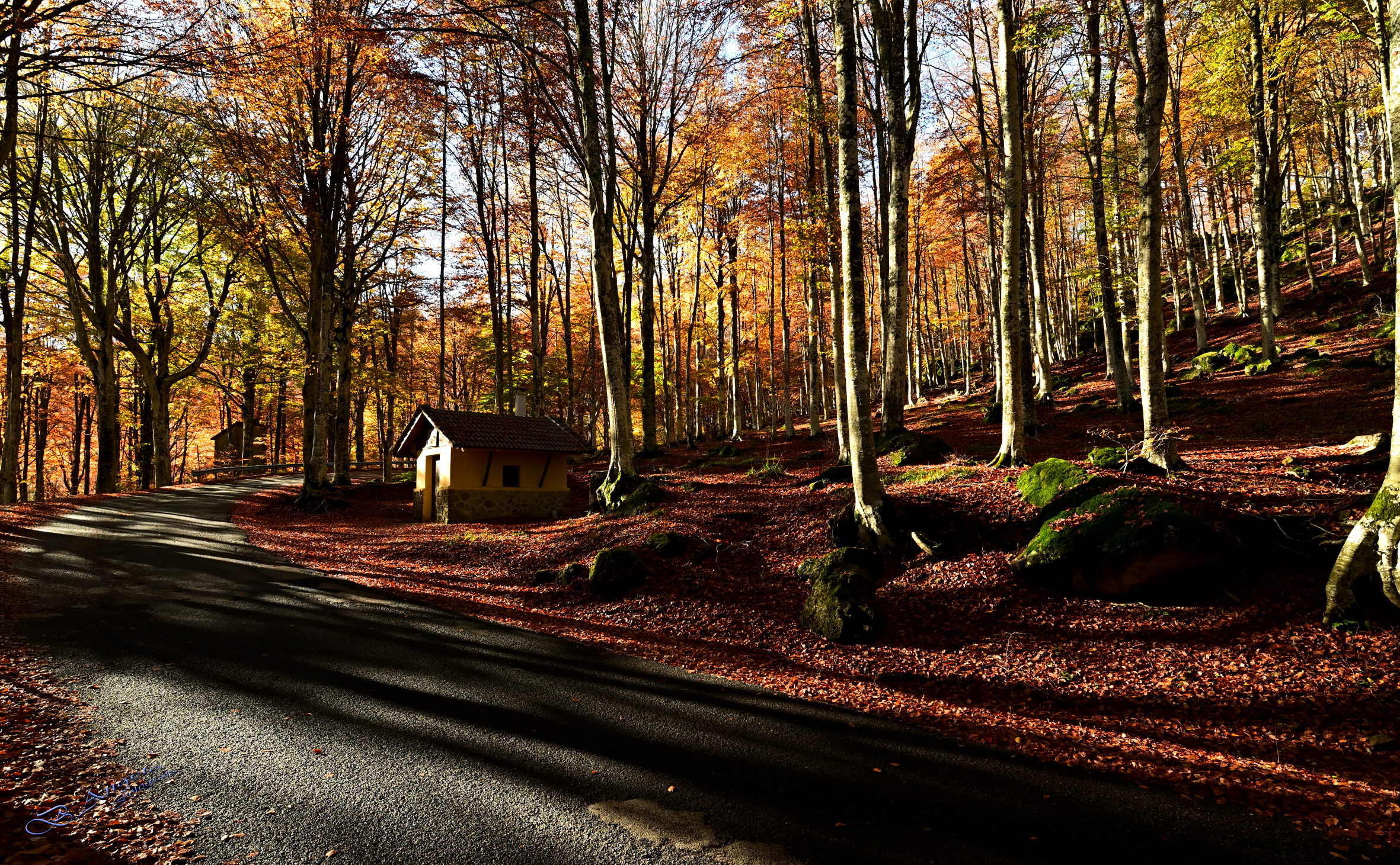 " tra ombre e colori "