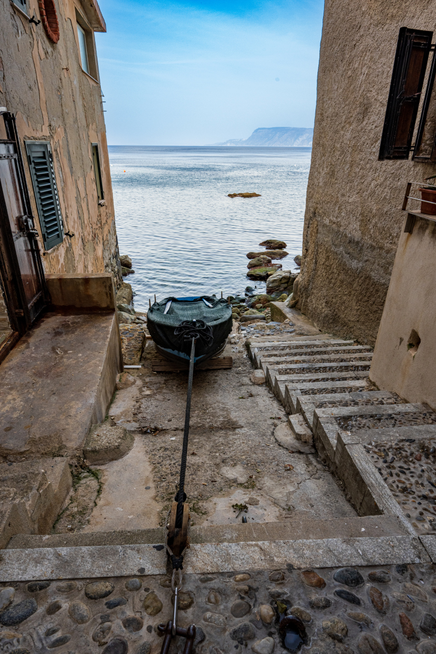 SCILLA- chianalea
