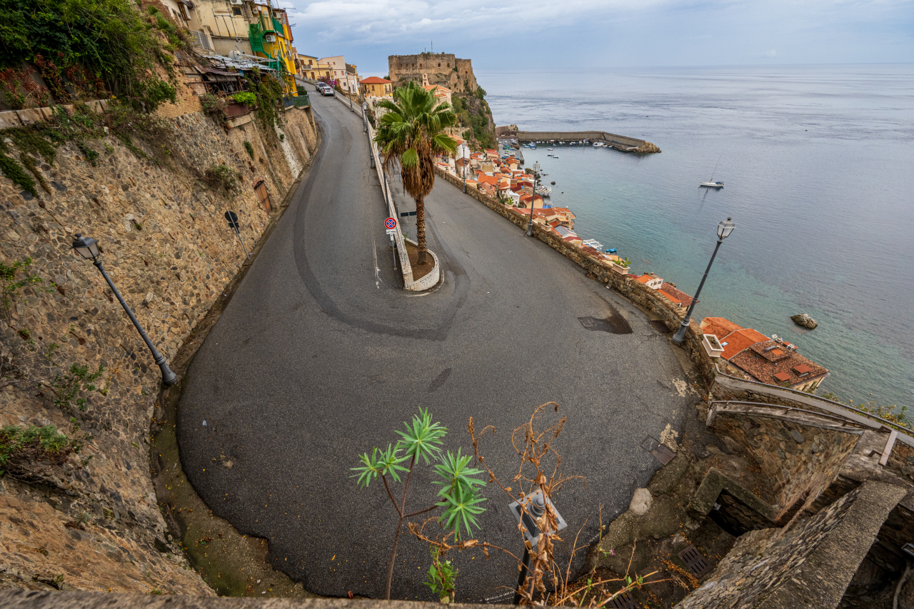 scilla