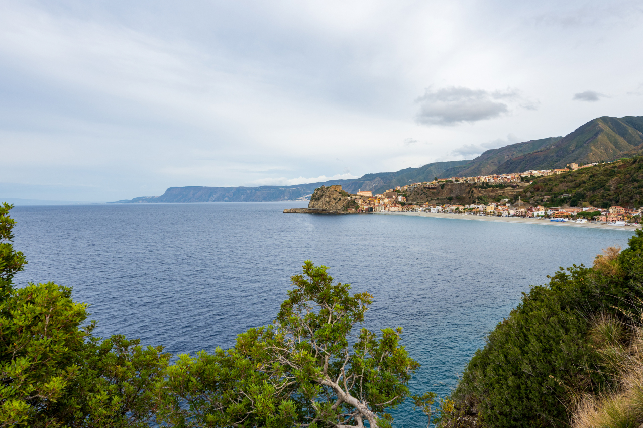 scilla