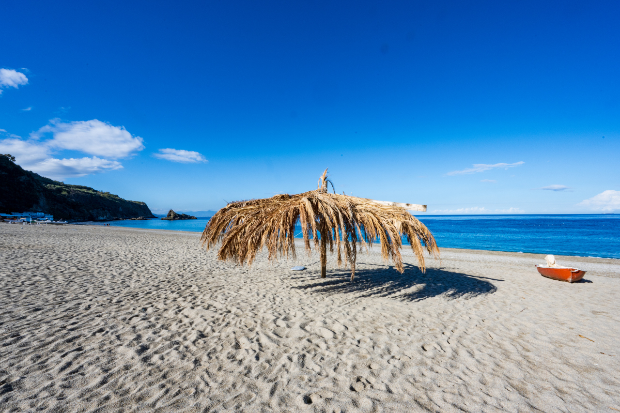 palmi