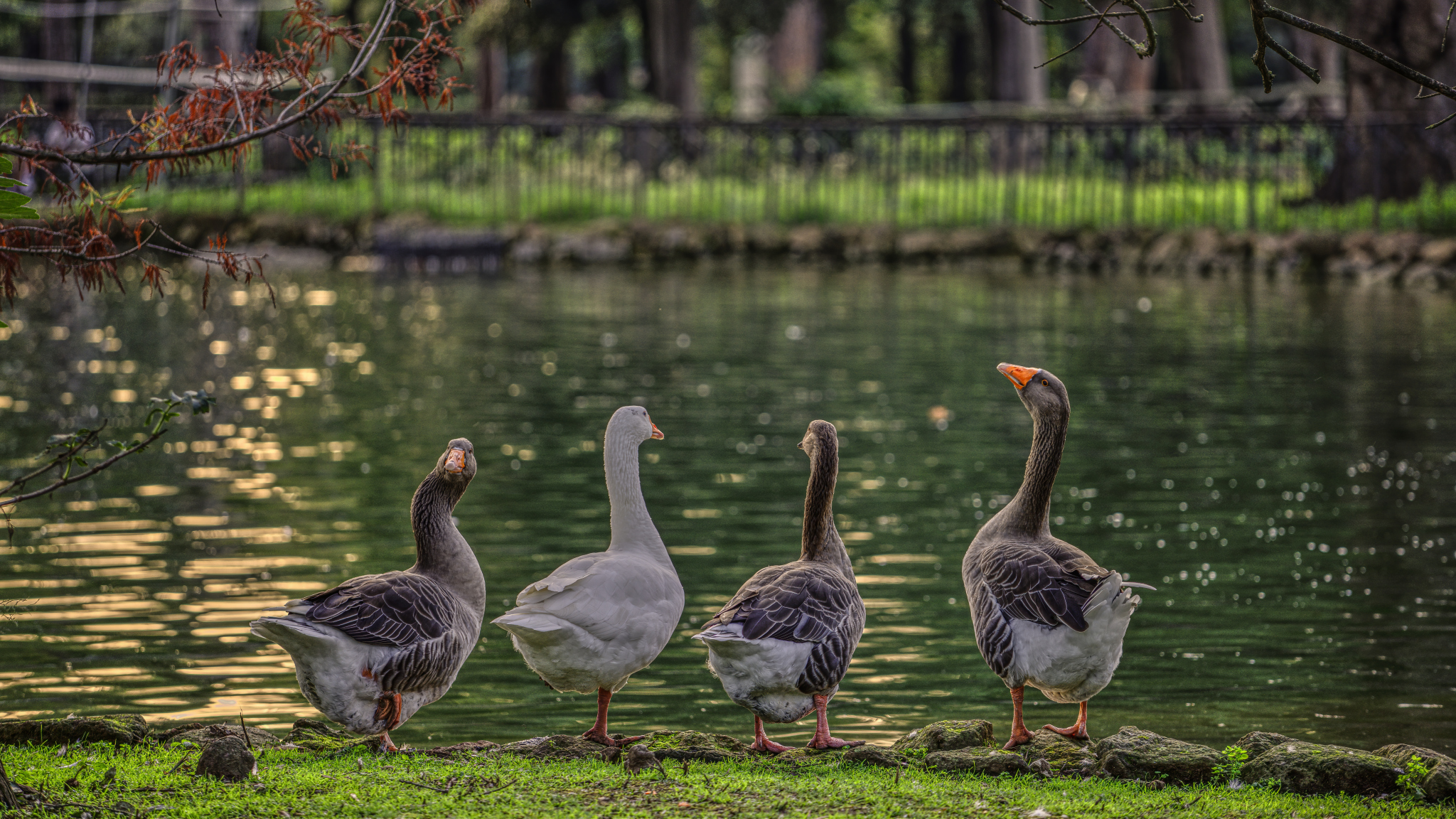 Girls posing are taking pictures of us