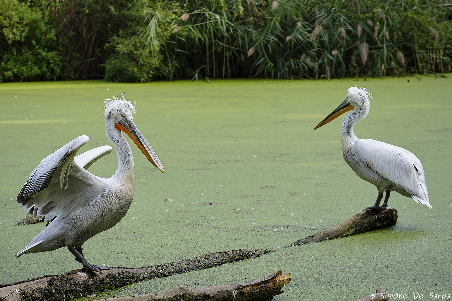 One against the other