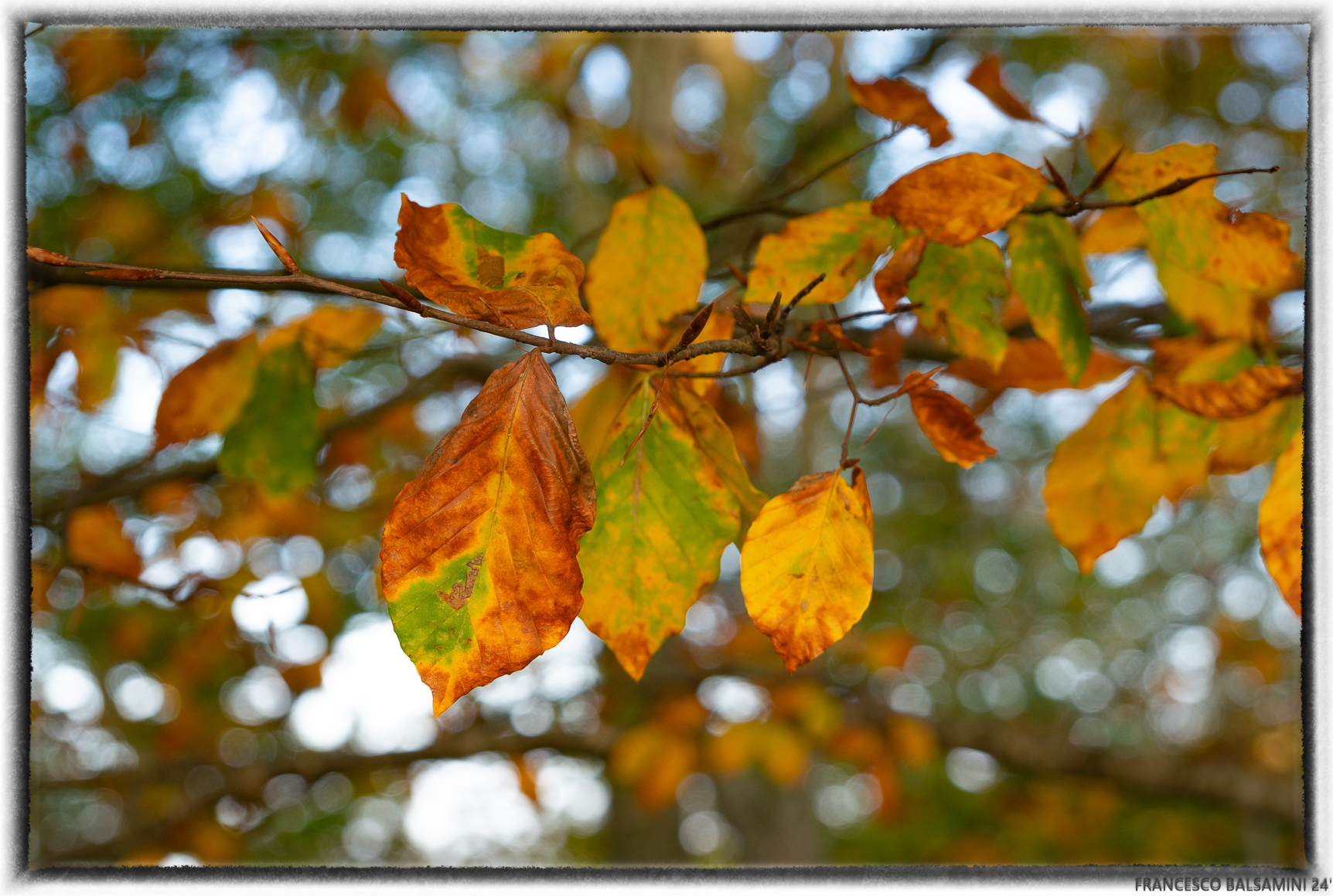 Untitled Photo