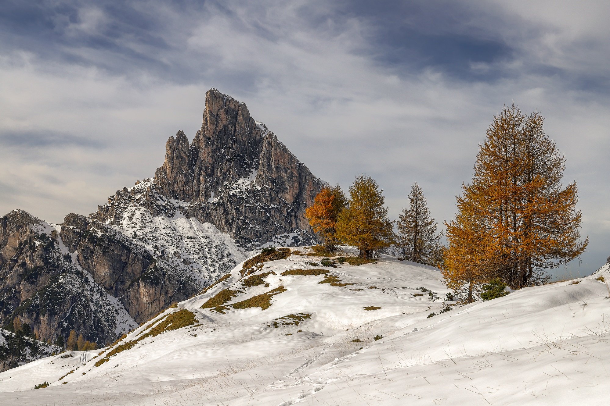 The larches of the Sasso della Strga
