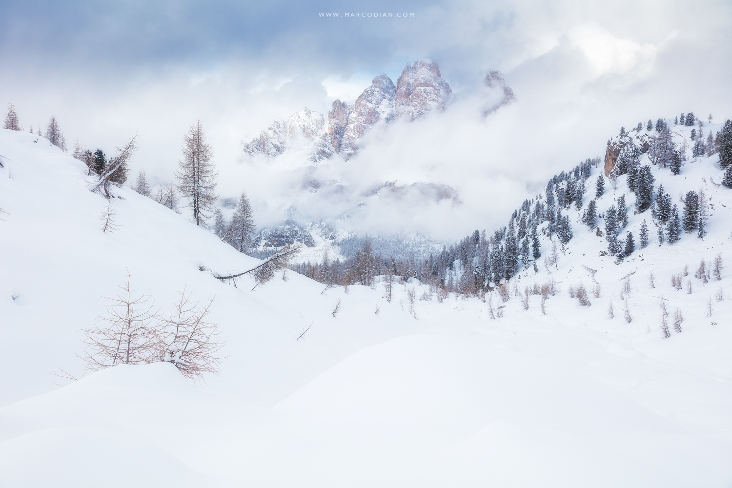 Una Meraviglia Improvvisa