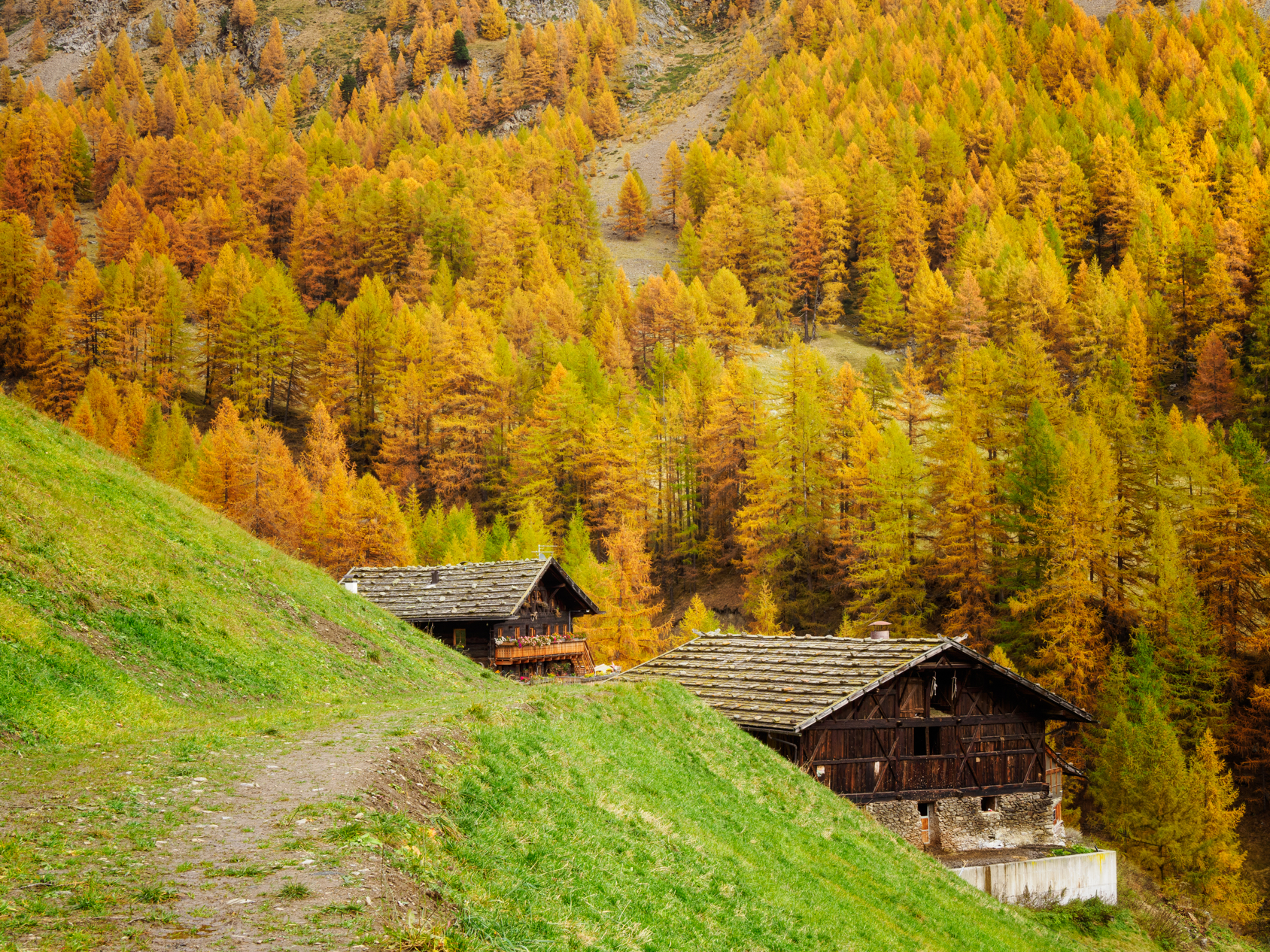 Val Senales #2
