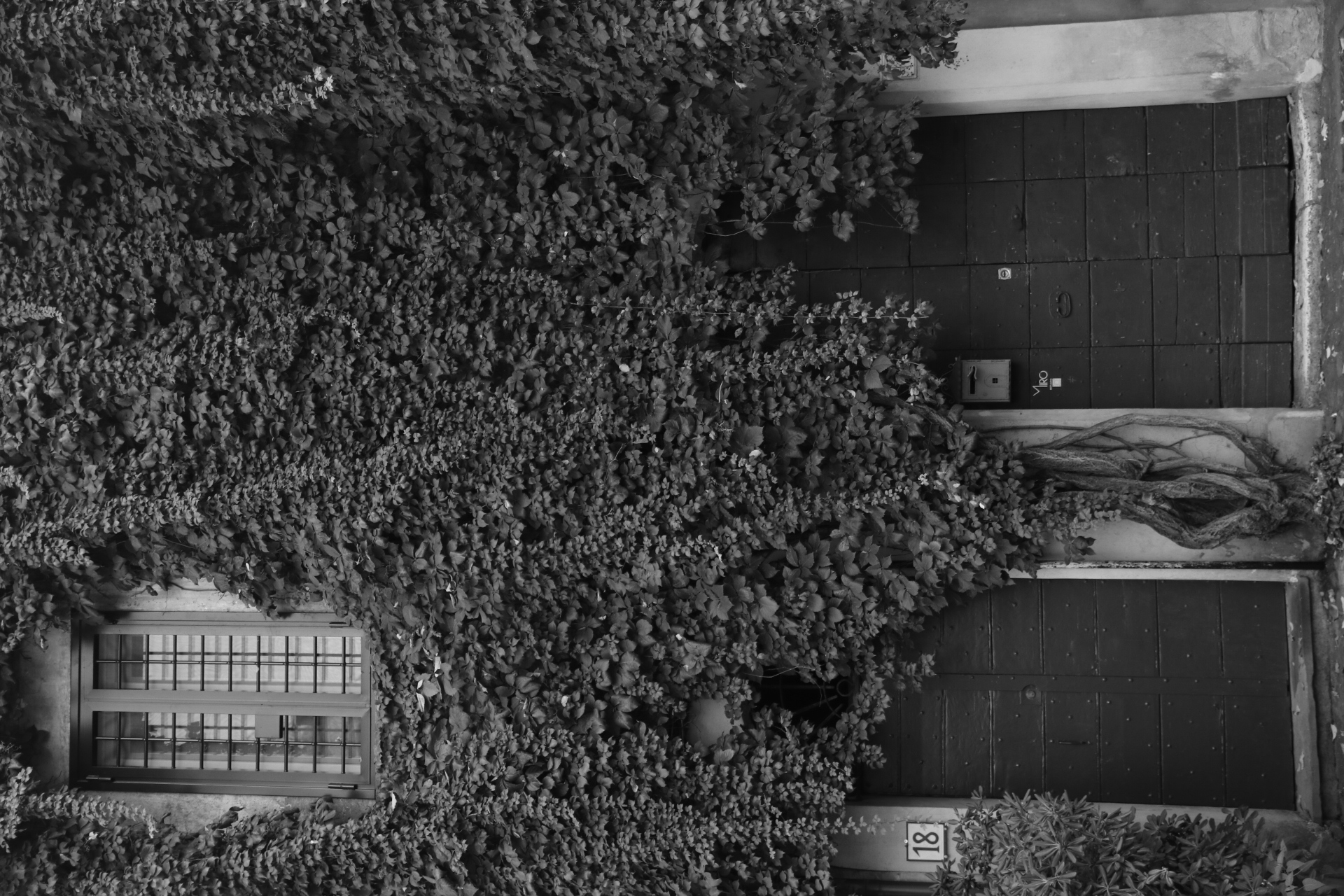 Glimpse of Trastevere