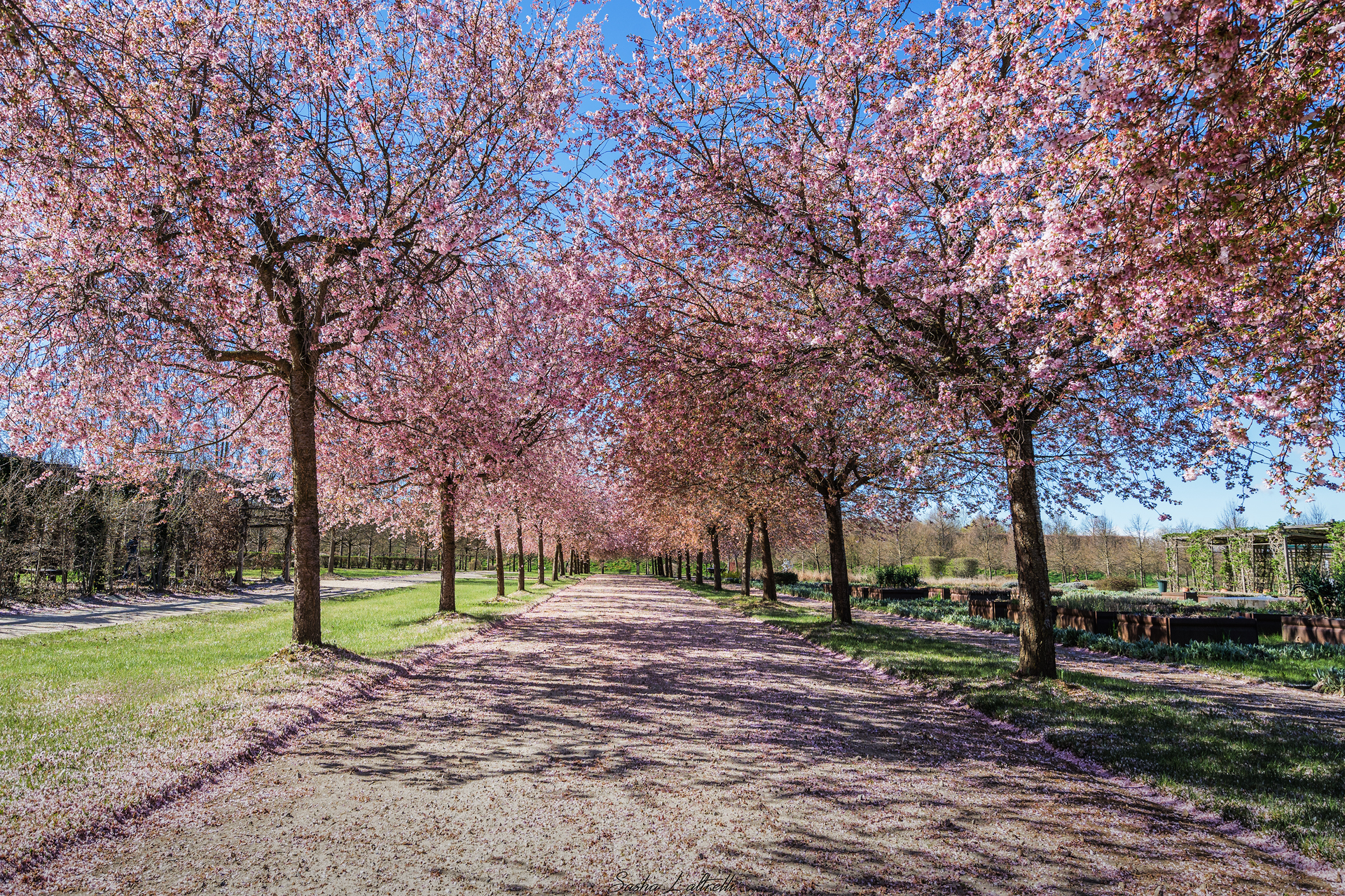 Gardens of Venaria Reale