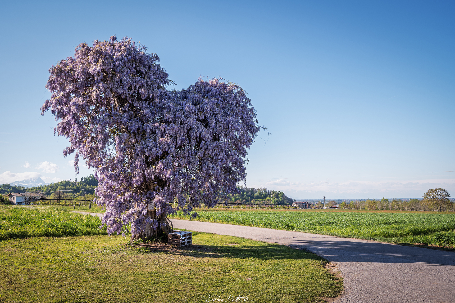 Il Cuore della Natura