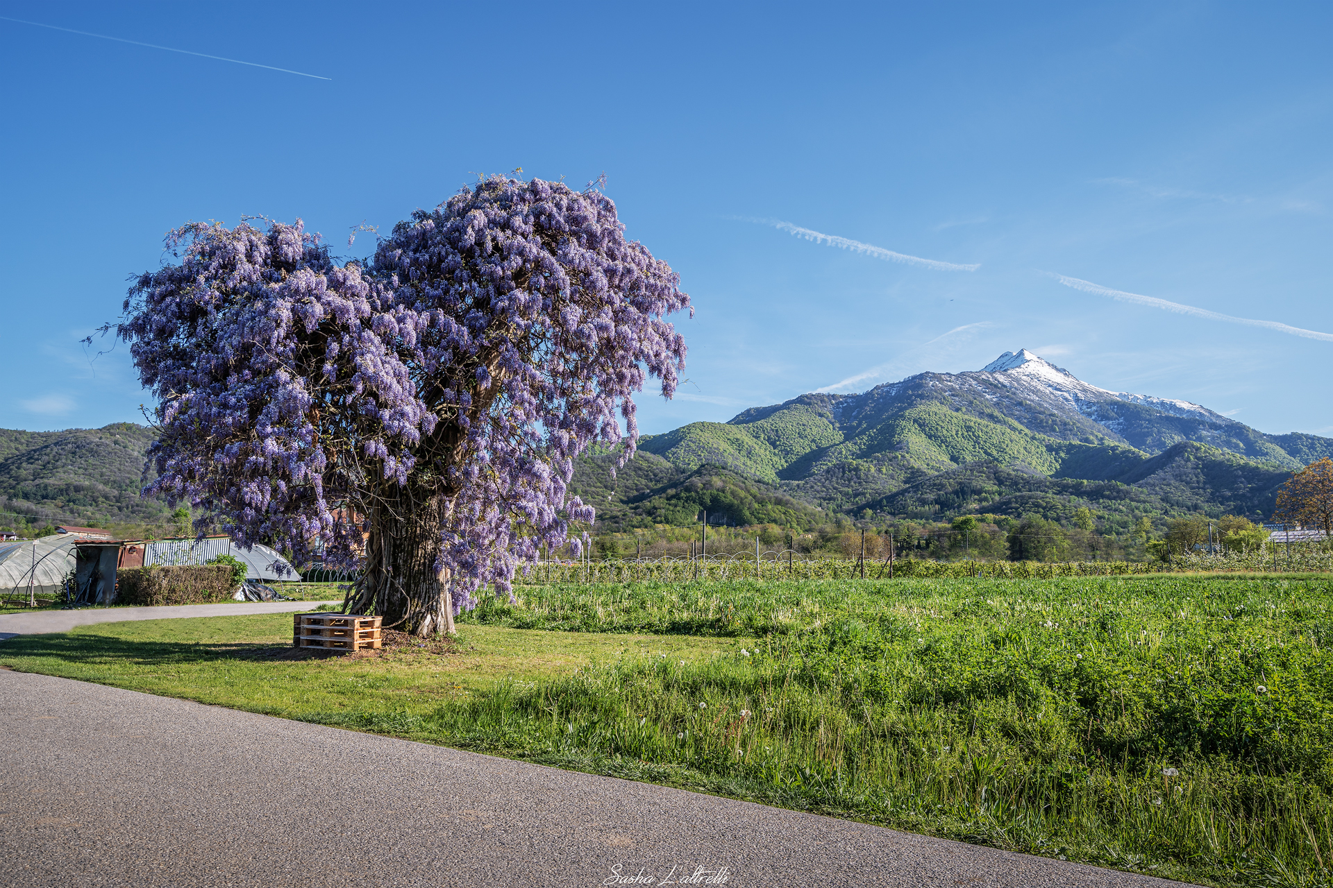 La Natura e la Bisalta