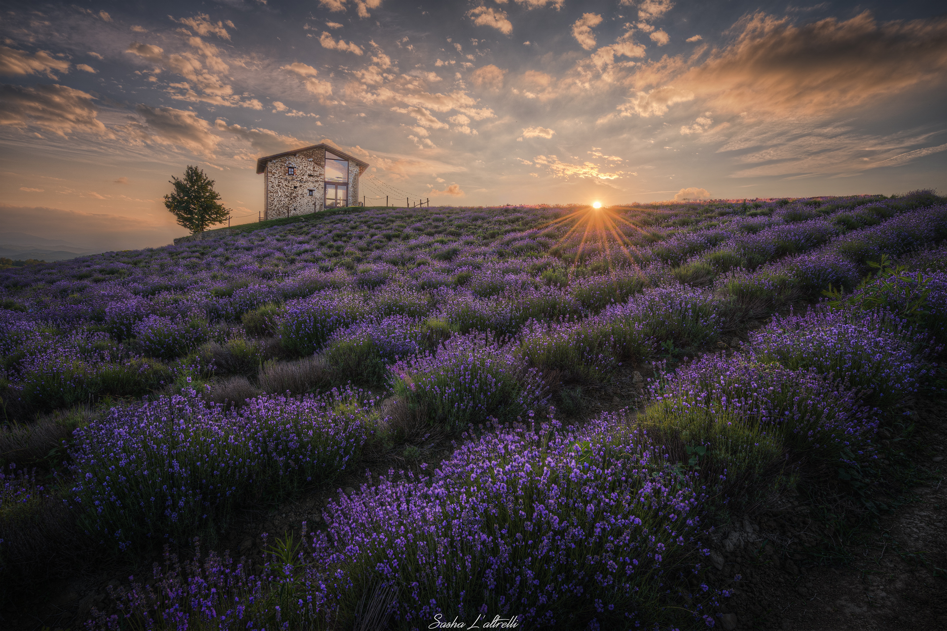 la provenza made in italy