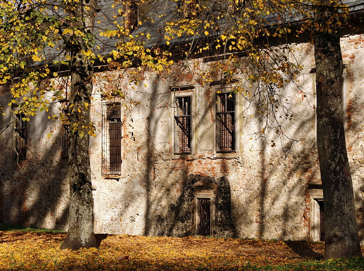 shadows on the wall of the mansion