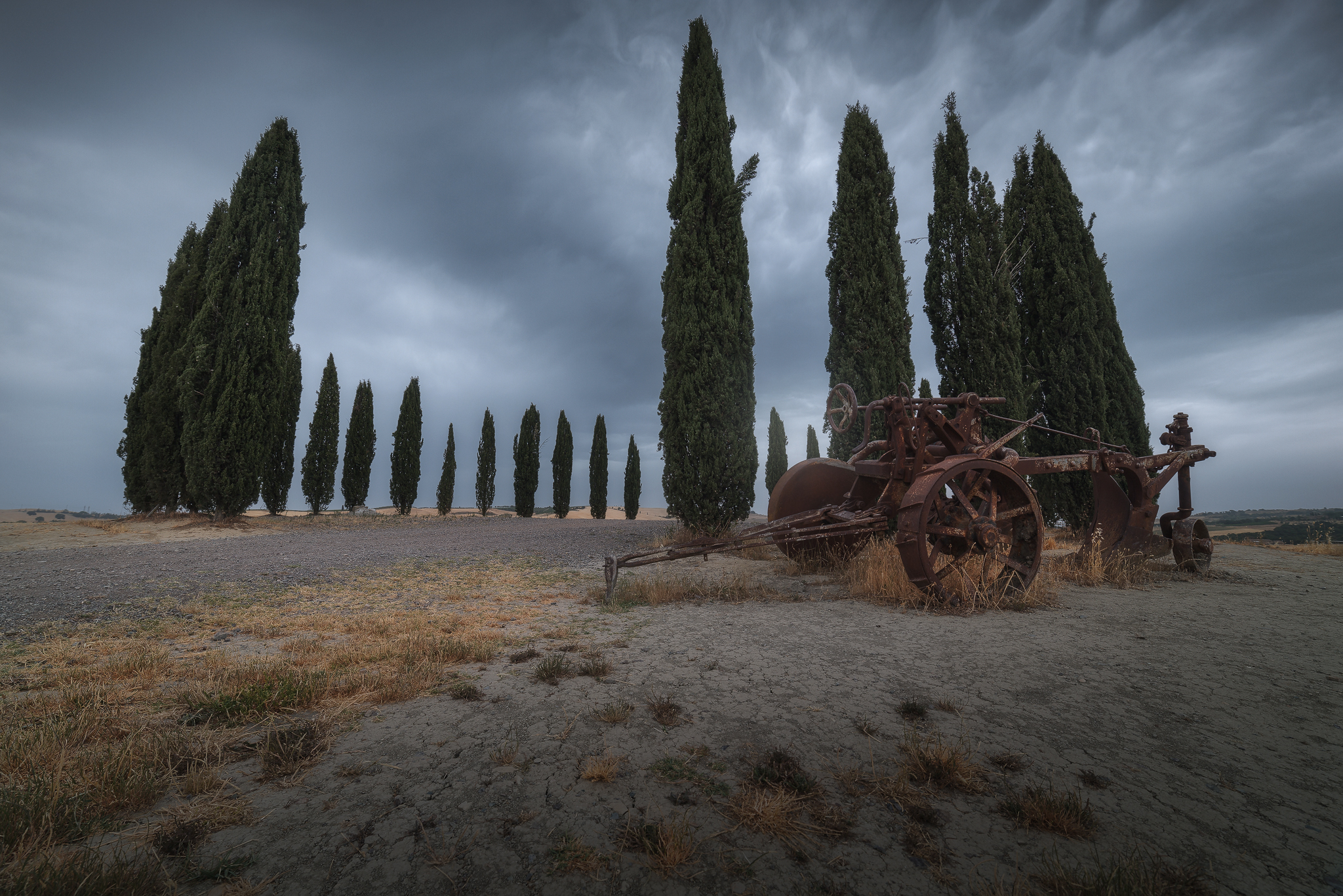 Cypresses