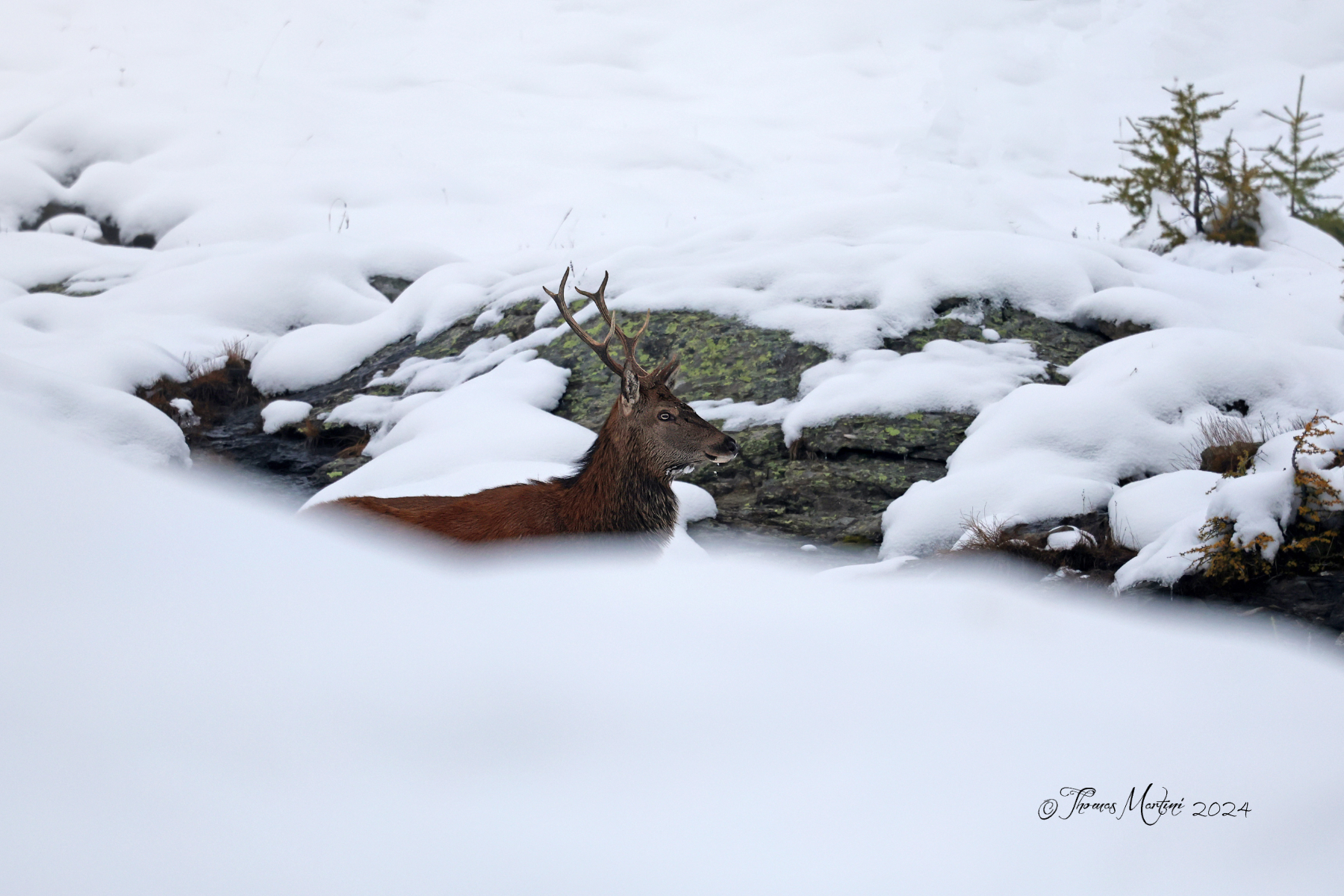 After the first snowfall
