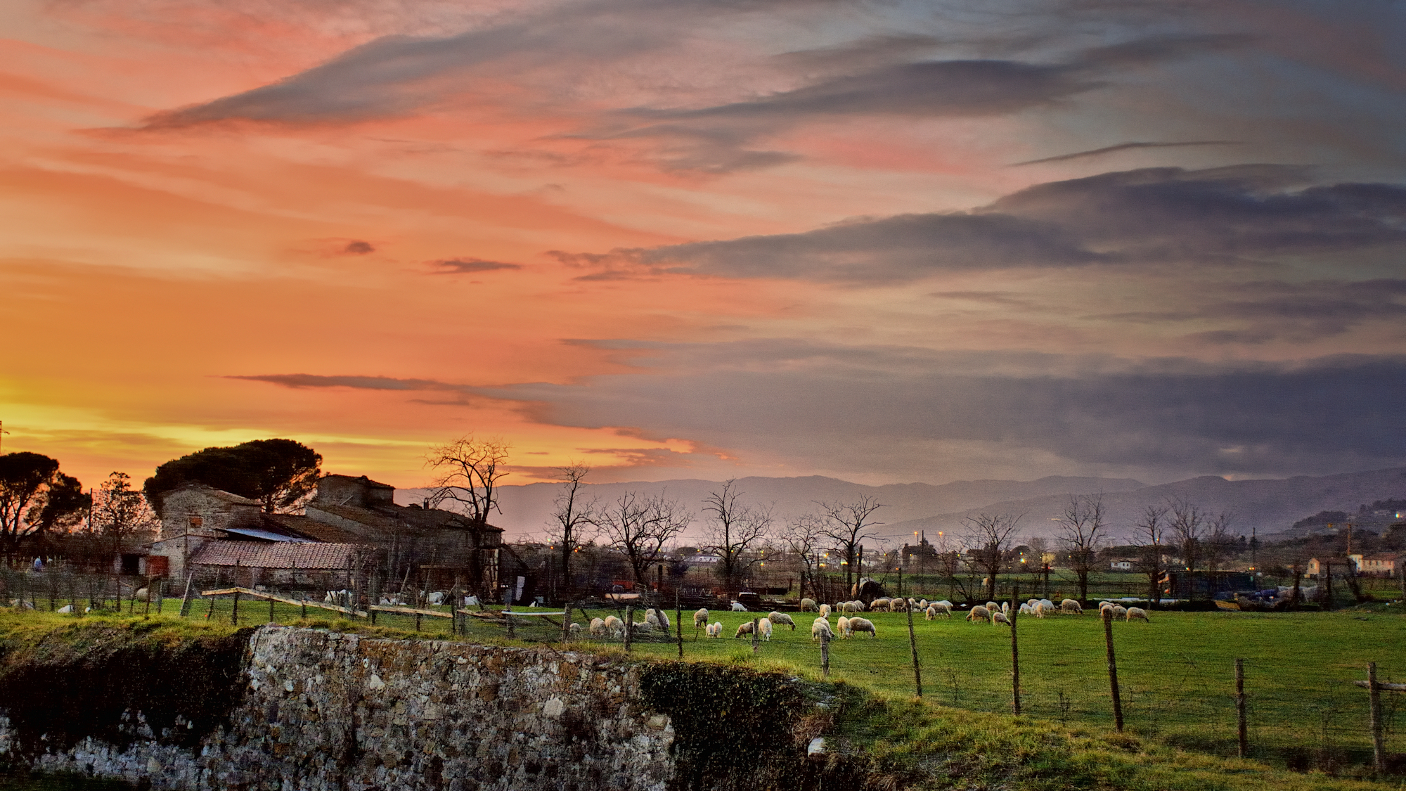 Bucolic sunset