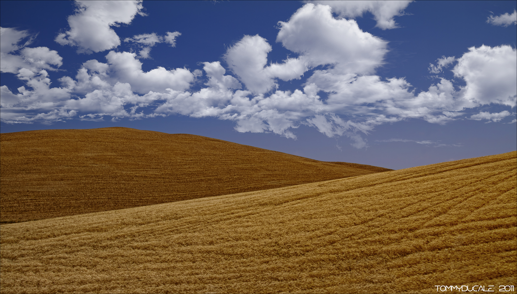Umbrian Panorama