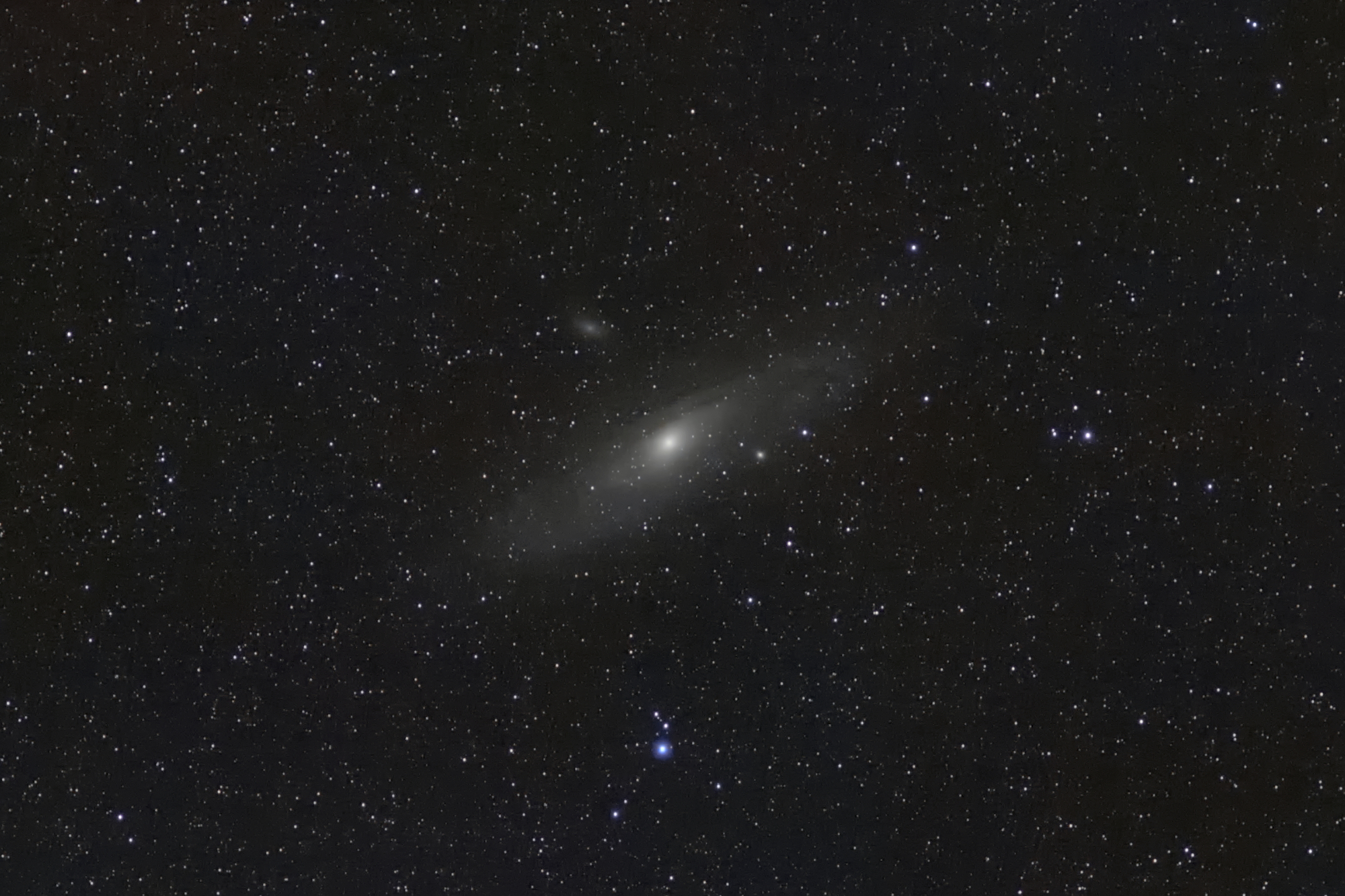 M31