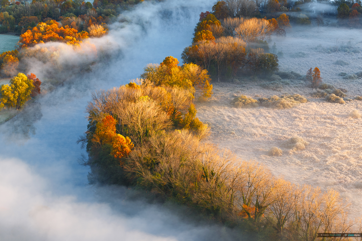 Fog on the Adda